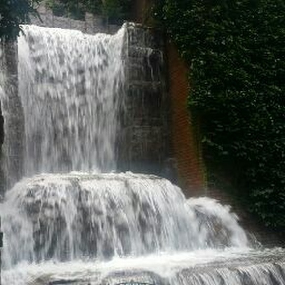 Meet your Posher, Jewel - Picture 1 of 1